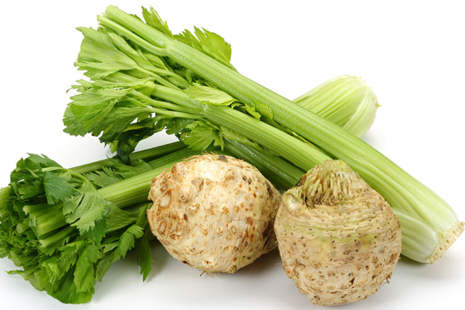 Селера молода свіжа, з листками, другого товарного сорту, ДСТУ 8596, 1 кг